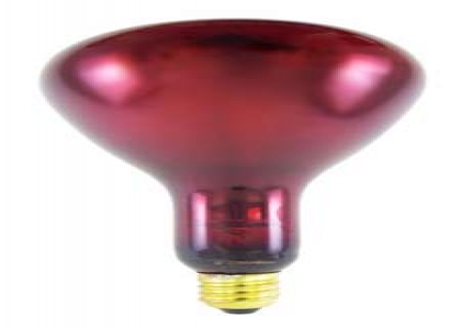 Replacement 175 Watt Bulb